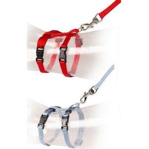 Duvo+ DUVO+ Szelki dla kociąt czerwone/niebieskie 15-25cm / 8mm-125cm