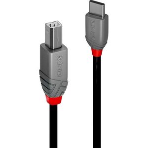 Kabel USB Lindy USB-C - USB-B 1 m Czarny (36941)