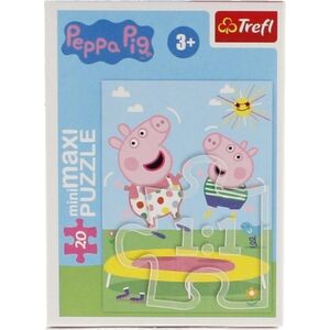 Trefl PUZZLE 20EL MINIMAXI TREFL 21125 BEZTROSKI DZIEN