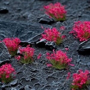 Gamers Grass Gamers Grass: Pink Flowers (Wild)
