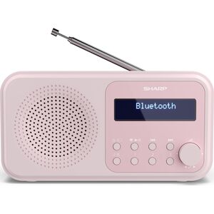 Radio Sharp DR-P420(PK)