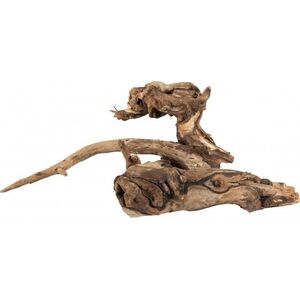 Terra Natura Małe szybko tonące drewno M-L 20-50cm
