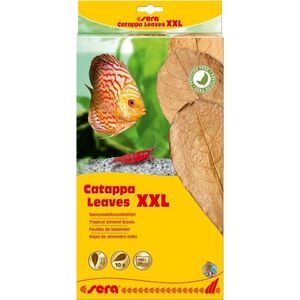Sera Liście migdałecznika - Catappa Leaves XXL, 32 cm, 10szt/OPAK