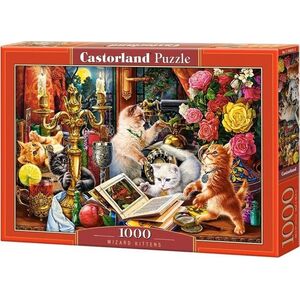 Castorland Puzzle 1000 Wizard Kittens CASTOR