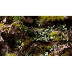 Gamers Grass Gamers Grass: Laser Plants - Plantain Lily - Funkia