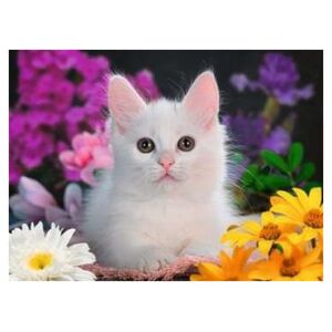 Ravensburger Ravensburger Childrens puzzle glitter cat (100 pieces, glittery pieces)