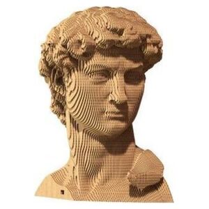 Puzzle 3D David Cartonic