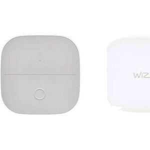 WiZ WiZ | Portable Button