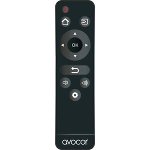 Pilot RTV Avocor Avocor - Fernbedienung