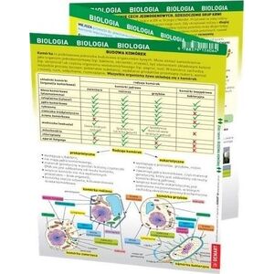 Demart Maxi ściąga - Biologia