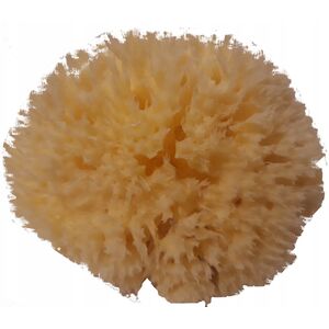 Babu Bab?(r) sponge natural nr.12