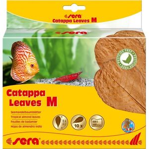 Sera Liście migdałecznika - Catappa Leaves M, 18 cm, 10szt/OPAK