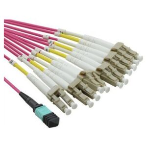 Value VALUE MPO Fanout Kabel 50/125m OM4, MPO/12x LC, fioletowy, 2 m