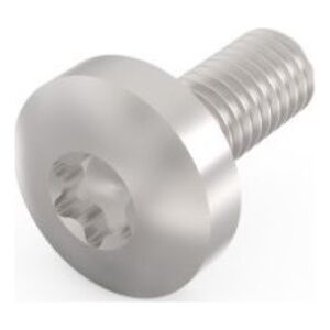 SCHROFF SCHROFF Śruba z łbem walcowym, Torx, funkcja GND, stal ocynkowana, M4  10 mm, 100 szt.