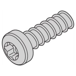 SCHROFF Śruba SCHROFF do głowicy cylindrów, Torx, M2,5 x 7,3 mm, samogwintująca, średnia ocynkowana