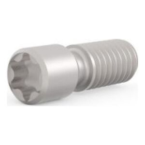 SCHROFF Śruba ustalająca SCHROFF, stal nierdzewna, M2.5 x 9, Torx 8