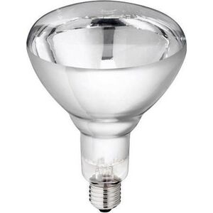 Philips Philips infrared lamp BR125 IR 250W E27 230-250V CL