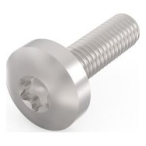 SCHROFF Śruba krzyżakowa SCHROFF, Torx, funkcja GND, stal ocynkowana, M4  14 mm, 100 szt.