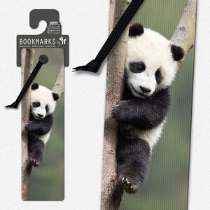 IF Zakładka 3D 15405 - Panda