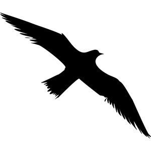 Sourcing Swissinno Bird window sticker (5 pcs of bird collision prevention stickers)