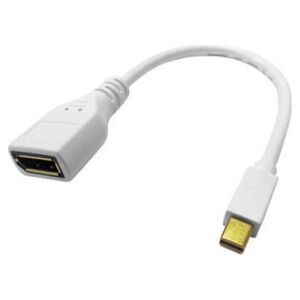 Roline Adapter ROLINE DisplayPort, DP żeński - Mini DP męski