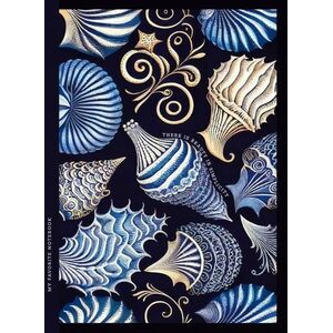 Fresh Notatnik ozdobny 143x200/64K kratka TW Muszle