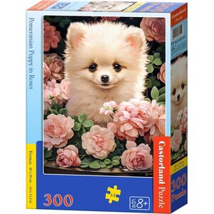 Castorland Puzzle 300 Pomeranian Puppy in Roses CASTOR