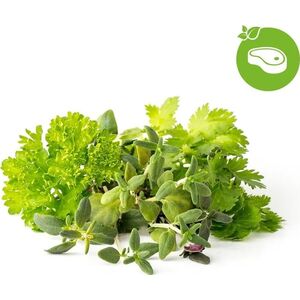 Click And Grow Click & Grow Plant Pod Steak Mix 9pcs