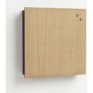 NAGA Nøgleskab med magnetisk låge i finér eg Eg 30x5x30mm (1stk)