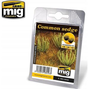 Vallejo Ammo: Plants - Common Sedge