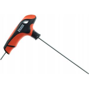 Richmann T-key Hex 2x100 MM