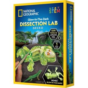 National Geographic National Geographic Gecko Dissection Lab