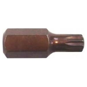 Forsage Bit 10mm SPLINE M14x30mmL