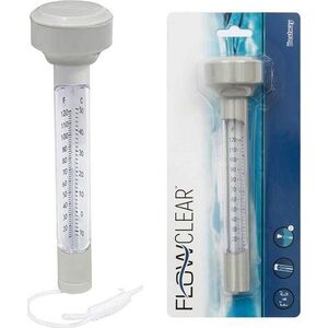 Bestway Termometr basenowy (58072)