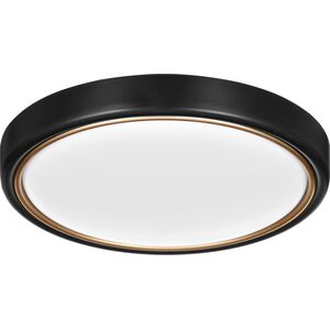 Lampa sufitowa Activejet Plafon LED Activejet AJE-VERDI B/G Black/Gold 23W