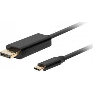 Kabel USB Lanberg USB-C - DisplayPort 3 m Czarny (CA-CMDP-10CU-0030-BK)