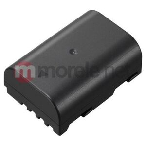 Akumulator Panasonic DMW-BLF19E