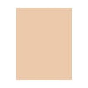 Rimmel  Hide The Blemish Concealer Stick W 4.5g