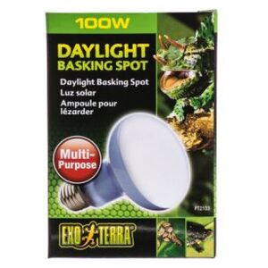 Hagen EXOTERRA ŻARÓWKA DAYLIGHT SPOT 150W