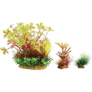 Zolux Dekoracja roślinna PlantKit Wiha model 4 (352143)