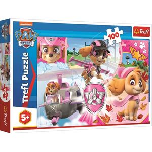 Trefl Puzzle 100 Skye w akcji
