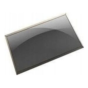 Dell LCD, Non Touch Screen, 14.0