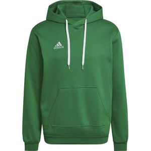 Adidas adidas Entrada 22 Sweatshirt HI2141 Zielone XL