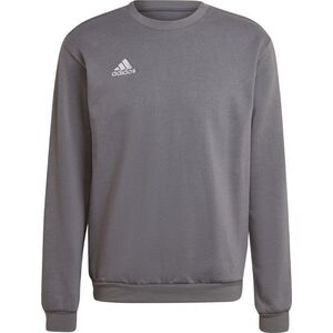 Adidas Bluza męska adidas Entrada 22 Sweat Top szara H57479 L