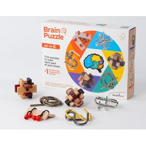 Recent Toys RECENT TOYS Brainteaser Brain puzzle set