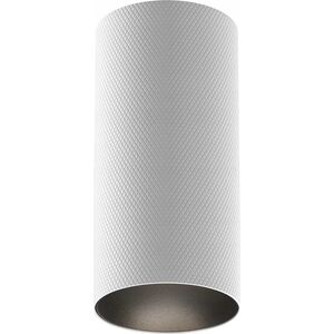 Lampa sufitowa Maytoni CEILING LAMP ARTISAN GU10 10W W