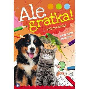 Skrzat Ale gratka! Zwierzęta domowe 77025