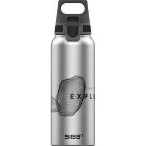 SIGG SIGG drinking bottle WMB ONE Pathfinder Alu 1.0 liter (aluminium)