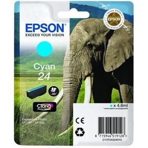 Tusz Epson 24 Claria Photo C13T24224010