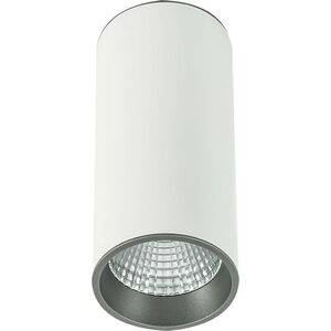 Lampa sufitowa Italux Moldes Big WH/GR Ceiling 3000K SLC7392/12W 3000K WH+GR